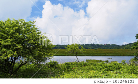長野県諏訪市周辺自治体にまたがる霧ヶ峰の八島湿原の夏（夏休み） 105246103