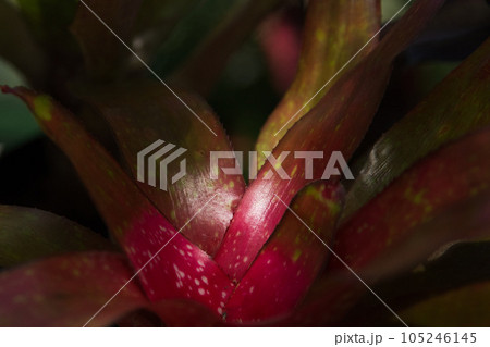 ゆりの里公園 ゆりの里公園 105246145