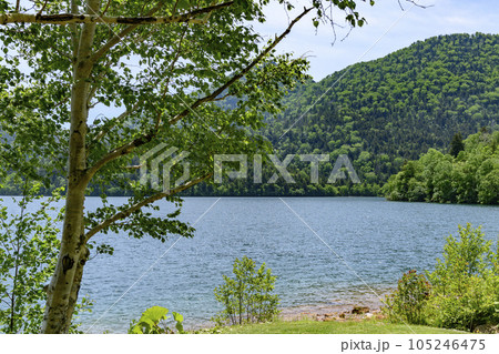 北海道 静寂の湖 然別湖(しかりべつ湖) 105246475