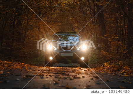 A car with headlights on the road with autumn trees 105246489