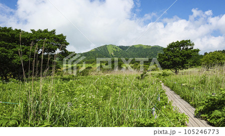 長野県諏訪市周辺自治体にまたがる霧ヶ峰の八島湿原の夏（夏休み） 105246773