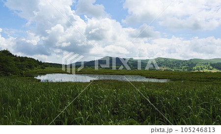 長野県諏訪市周辺自治体にまたがる霧ヶ峰の八島湿原の夏(夏休み) 長野県諏訪市周辺自治体にまたがる霧ヶ峰の八島湿原の夏(夏休み) 105246813