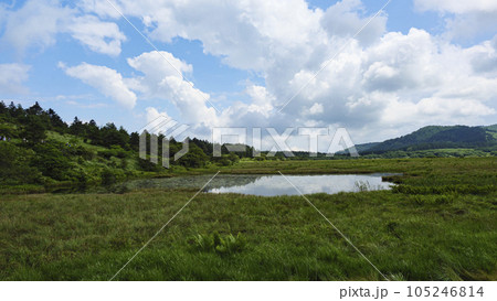 長野県諏訪市周辺自治体にまたがる霧ヶ峰の八島湿原の夏(夏休み) 長野県諏訪市周辺自治体にまたがる霧ヶ峰の八島湿原の夏(夏休み) 105246814