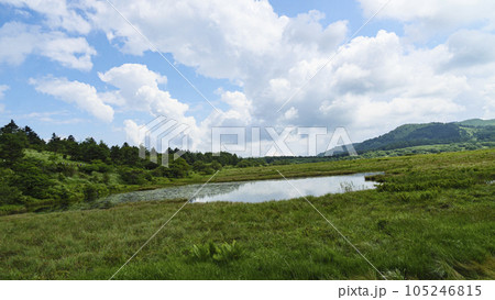長野県諏訪市周辺自治体にまたがる霧ヶ峰の八島湿原の夏（夏休み） 105246815
