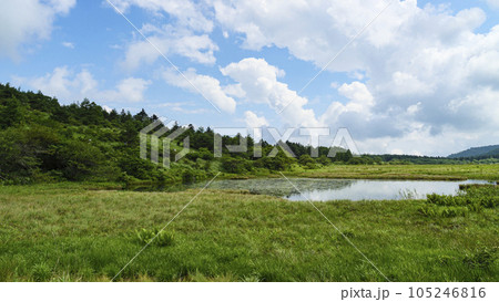 長野県諏訪市周辺自治体にまたがる霧ヶ峰の八島湿原の夏(夏休み) 長野県諏訪市周辺自治体にまたがる霧ヶ峰の八島湿原の夏(夏休み) 105246816