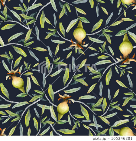 Pomegranate branches with young fruits watercolor seamless pattern on dark blue background for fabrics, Jewish Rosh Hashanah greeting card, botanical floral designs 105246881