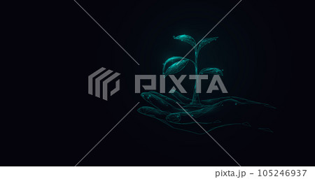 Hand holding seedling plant. Low polygonal and wireframe from dots and lines. Vector illustration 105246937