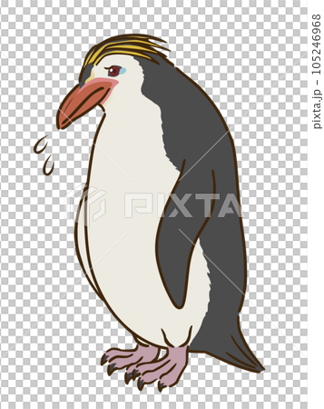 悲しむロイヤルペンギン 悲しむロイヤルペンギン 105246968