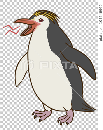 angry royal penguin angry royal penguin 105246969