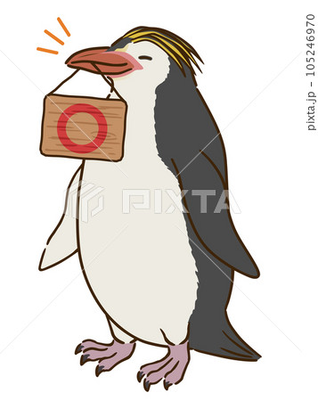 丸マークを描いた看板をくわえるロイヤルペンギン 丸マークを描いた看板をくわえるロイヤルペンギン 105246970