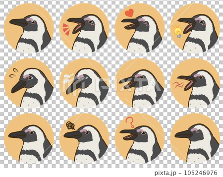 Cape penguin facial expression icon set 105246976