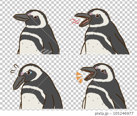 Magellan penguin emotions set Magellan penguin emotions set 105246977