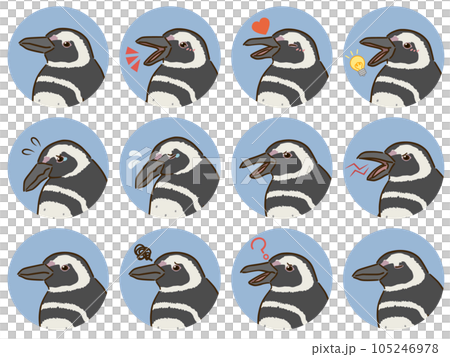 Magellan penguin facial expression icon set Magellan penguin facial expression icon set 105246978