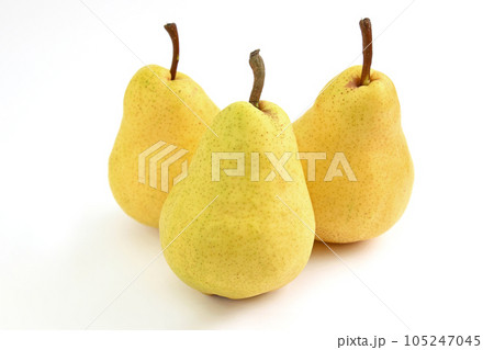 洋梨（バートレット） 105247045