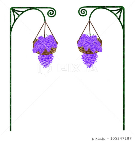 Bunch of violet flowers Bunch of violet flowers 105247197