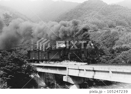 中央西線、薮原を走る蒸気機関車D51貨物列車 中央西線、薮原を走る蒸気機関車D51貨物列車 105247239