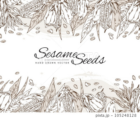 Sesame seeds seamless border, hand drawn sketch vector illustration on white background. 105248128