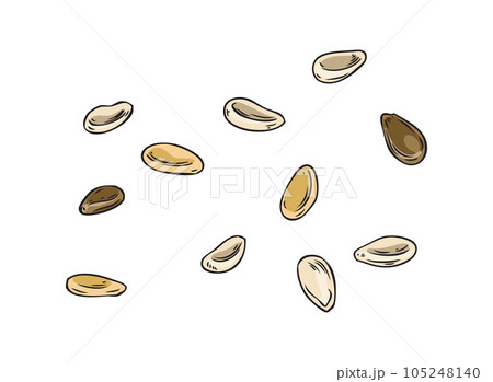 Hand drawn colorful sesame seeds sketch style, vector illustration Hand drawn colorful sesame seeds sketch style, vector illustration 105248140