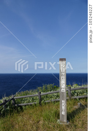 夕日ヶ丘展望台　利尻島　北海道 105248227