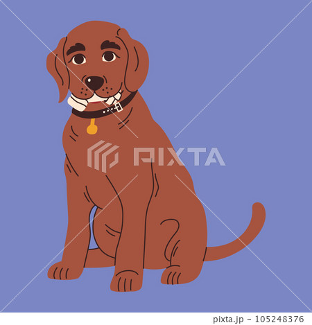 Dog with toys for brushing or massaging teeth. Dog dental health. Canine dental care and hygiene concept. Vector illustration Dog with toys for brushing or massaging teeth. Dog dental health. Canine dental care and hygiene concept. Vector illustration 105248376