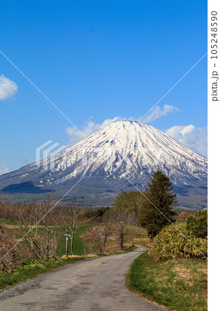 北海道京極町、望羊の丘から眺めた羊蹄山【5月】 北海道京極町、望羊の丘から眺めた羊蹄山【5月】 105248590