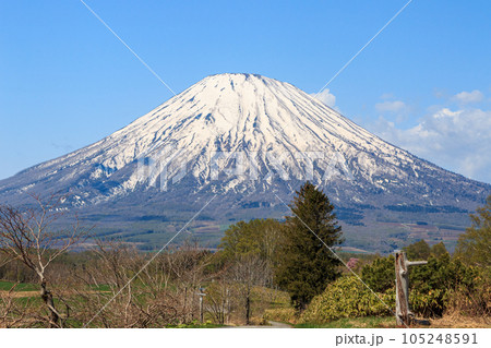 北海道京極町、望羊の丘から眺めた羊蹄山【5月】 北海道京極町、望羊の丘から眺めた羊蹄山【5月】 105248591