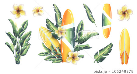Surfboard in yellow and green with stripes with tropical leaves and plumeria flowers. Watercolor illustration hand drawn. Set of isolated elements stickers on a white background. 105249279