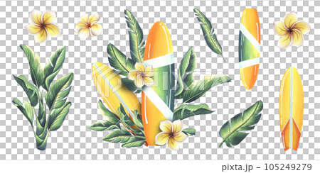 Surfboard in yellow and green with stripes with tropical leaves and plumeria flowers. Watercolor illustration hand drawn. Set of isolated elements stickers on a white background. 105249279