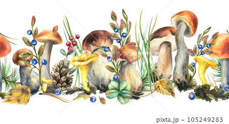 Forest mushrooms, boletus, chanterelles and blueberries, lingonberries, twigs, cones, leaves. Watercolor illustration, hand drawn seamless border on a white background Forest mushrooms, boletus, chanterelles and blueberries, lingonberries, twigs, cones, leaves. Watercolor illustration, hand drawn seamless border on a white background 105249283