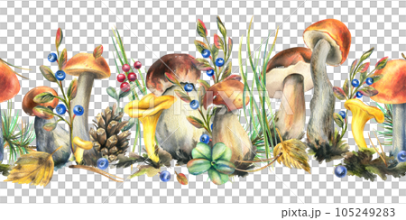 Forest mushrooms, boletus, chanterelles and blueberries, lingonberries, twigs, cones, leaves. Watercolor illustration, hand drawn seamless border on a white background Forest mushrooms, boletus, chanterelles and blueberries, lingonberries, twigs, cones, leaves. Watercolor illustration, hand drawn seamless border on a white background 105249283