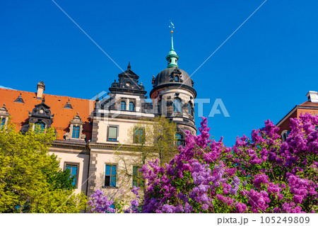 Cityscape over historical and touristic center in Dresden downtown at Spring sunny day, blue sky and lilac purple flowers 105249809
