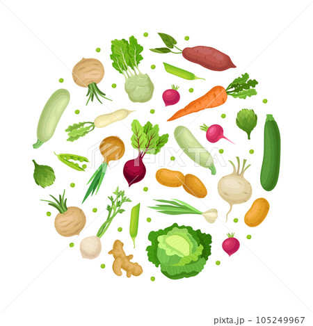 Fresh Organic Vegetables Round Composition Design Vector Template 105249967