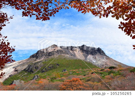 秋　茶臼岳　 105250265