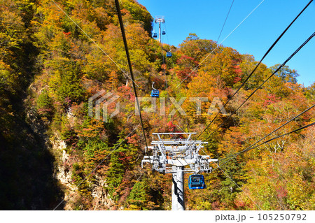 秋　苗場ドラゴンドラ 105250792
