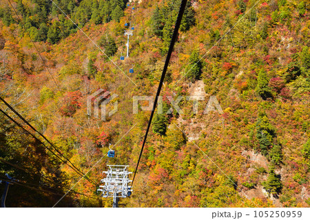 秋　苗場ドラゴンドラ 105250959