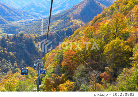 秋 苗場ドラゴンドラ 秋 苗場ドラゴンドラ 105250982