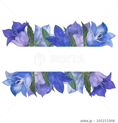 Watercolor illustration with lilac and blue bluebell buds, flowers and leaves. Frame isolated with Campanula and horizontal space for text for packaging, postcards, wedding design. 105251006