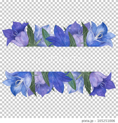 Watercolor illustration with lilac and blue bluebell buds, flowers and leaves. Frame isolated with Campanula and horizontal space for text for packaging, postcards, wedding design. 105251006