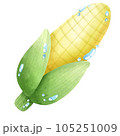 sweetcorn 105251009
