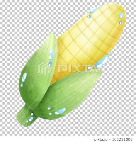 sweetcorn sweetcorn 105251009