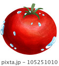 tomato 105251010