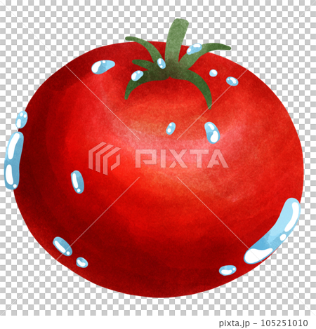 tomato tomato 105251010