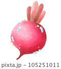 beetroot 105251011