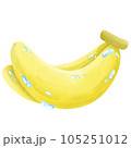 banana 105251012