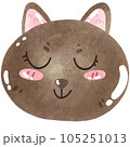 cat 105251013