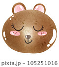 teddy 105251016