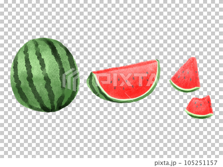 Illustration of freshly cut watermelon 105251157