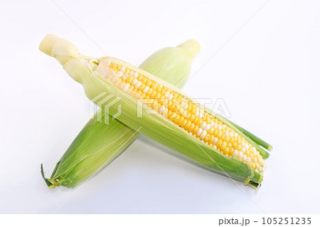 とうもろこし(ドルチェドリーム) とうもろこし(ドルチェドリーム) 105251235