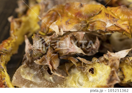 green-yellow peel of ripe pineapple close-up green-yellow peel of ripe pineapple close-up 105251362