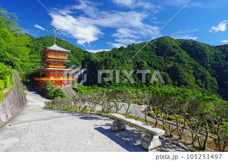 那智山青岸渡寺三重塔と那智の滝 那智山青岸渡寺三重塔と那智の滝 105251497